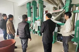 华南农业大学“头雁”导师团助力广西学员粮食产业发展图片