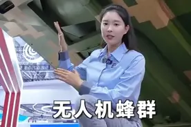 中国无人机蜂群作战系统来了！单辆车可发射48架无人机图片