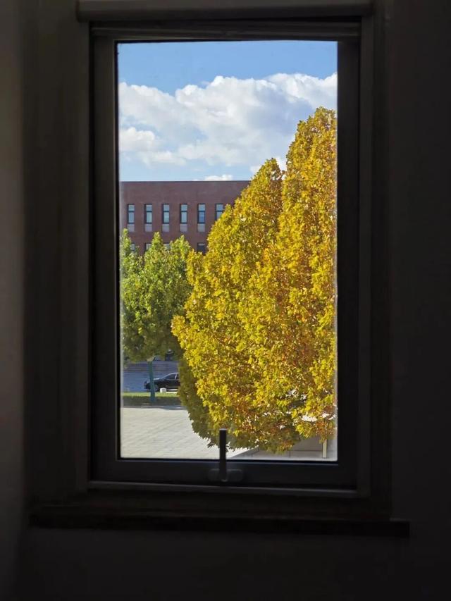 推开南开的窗，你会看到——