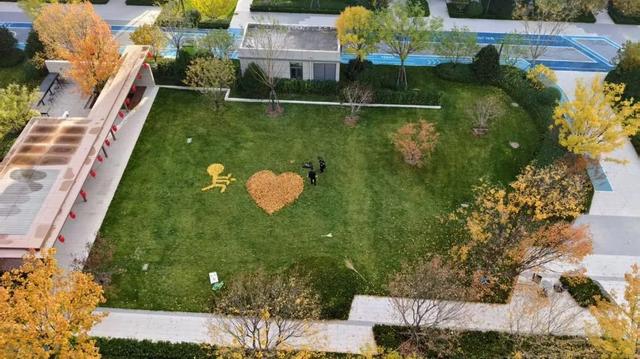 冬已至，秋未远，再赏一波王四营的秋——