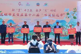 绘就农文旅融合的田园画卷 昆明呈贡第十二届“万溪梨花节”开幕图片