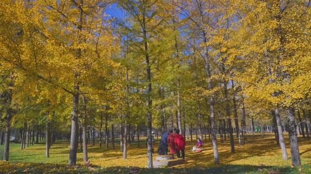 杨凌美成“调色盘”！你爱了吗？