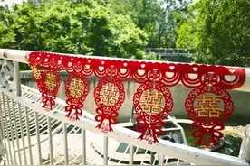 天津动物园，又添喜事！图片