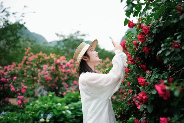 五一游长顺 青山绿水畅享惬意