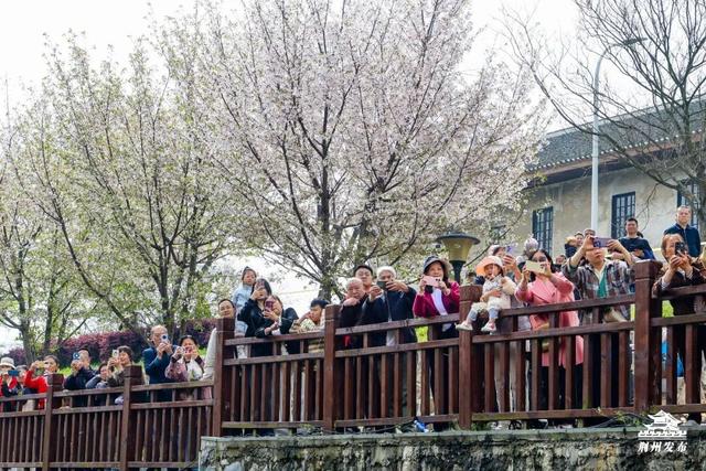 荆州，燃爆了！