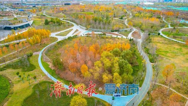 一年四季 泉在济南丨济钢片区中央森林公园初冬如画