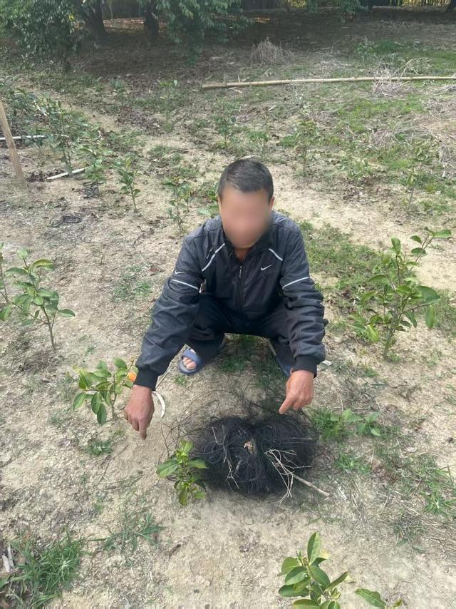 拍案丨巧设网者终自缚  跨省护鸟机制织密“法网”