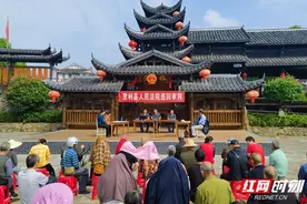 慈利法院：购买鹅苗引纷争 巡回审判进村居图片