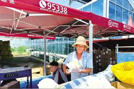 快递到农户 特产走出去 我市加快农村寄递物流体系建设助力乡村振兴图片