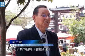枣阳市太平镇：文旅融合擦亮“民间文化艺术之乡”金字招牌图片