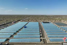 530万尾海南“虾宝”落户塔克拉玛干图片