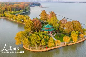 湖北武汉：东湖层林尽染景色如画图片