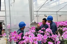 当好春运春节“电保姆”，佛山供电局全力保障电力稳定供应图片