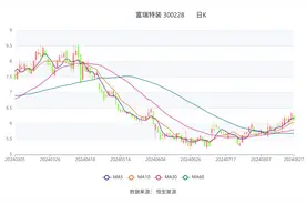 富瑞特装：2024年上半年净利润8260.56万元 同比增长367.02%图片