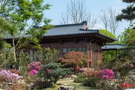 一张日场票可以耍两天！成都世园会主会场6条游园路线出炉，这条拍照最出片→图片