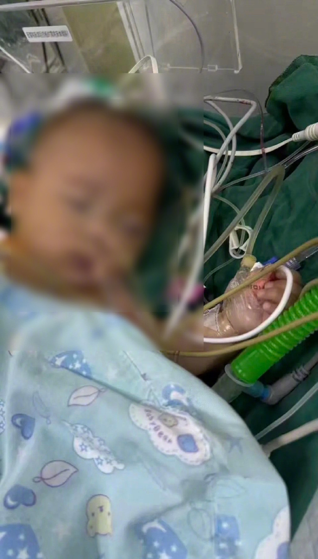 5月龄女婴手术后离世，妈妈公布法医最新尸检报告！韩红发声：错得太离谱！太让人气忿了！