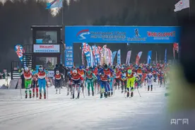 飞驰在亚洲最大人工林海中图片