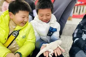 合肥经开区：探索昆虫世界 倾听自然课堂图片