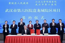 武汉市第六医院新院区落户盘龙城图片