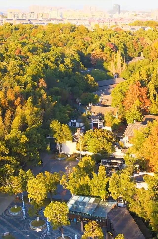 景德镇的秋：与千年窑火共醉一场金色旧梦