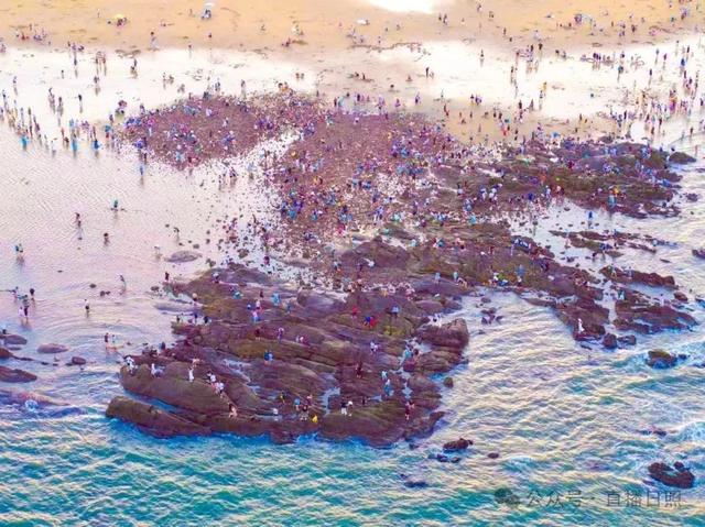 热度持续攀升！日照海滨游迎来大爆发！