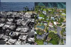 美国第五大致命野火！数看夏威夷毛伊岛大火背后的天灾与人祸图片