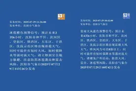 暴雨、冰雹、大风……多预警齐发！涉及辽宁多地，速看图片