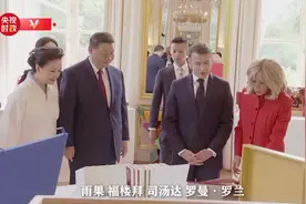 独家视频丨习近平送给马克龙的一份特殊礼物图片