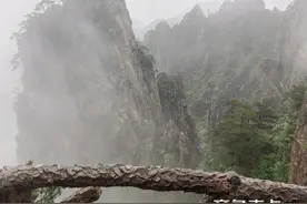 黄山行记（上）图片