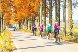 最高年化利率降至“2”字头 个人养老金储蓄类产品吸引力几何？图片