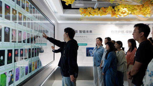开启“云花”深度漫游之旅，中国斗南花卉展览馆试运营