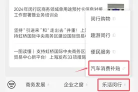 10月15日启动申报！不限名额！闵行区购车福利来啦图片