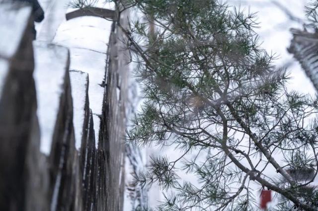 八达岭长城喜提初雪，银装素裹美成水墨丹青