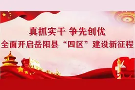 总投资214亿元！全市产业项目集中签约仪式在岳阳县举行图片