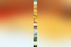 关于粮食，这些知识点值得了解图片