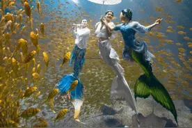 过“非遗”中国年，春节来深圳小梅沙“捕捉年味”图片