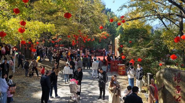 人从众嗨翻全场！带你直击大田广平银杏孝文化节～