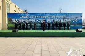 极度濒危野生动植物由少渐多！山东野生动植物保护工作成效显著图片