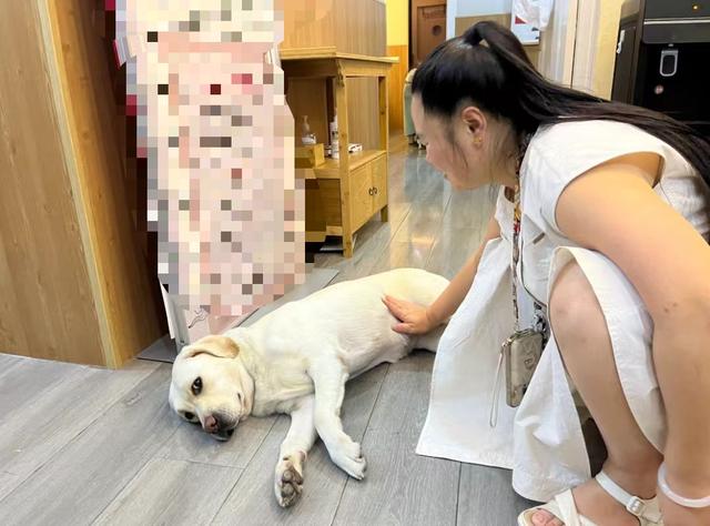 一场被视为“虐狗”的攀登：盲人王营营，和她未登顶的泰山