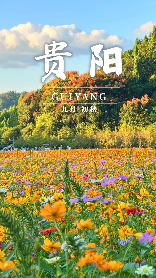 9月贵阳赏花地图｜这些绝美花海，承包你的初秋浪漫！