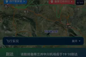 飞机起飞，4名贵宾室旅客被“遗忘” 机场？当事人发声图片