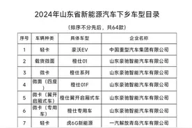 下乡展销不少于30场！今年山东将举办不少于60场新能源汽车促消费活动图片