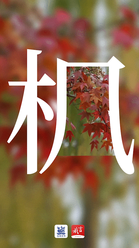 美翻了！大批盐城人出动！