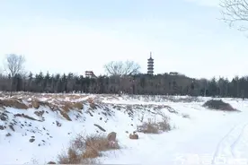 飞雪迎春||春雪是一首歌图片