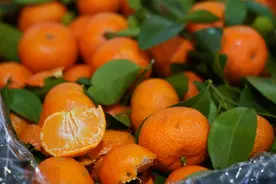 年货看“变”｜年节水果吃新鲜的，更要吃点“新鲜的”图片