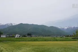 特稿丨寻找“被湮没的”侵华日军细菌战部队历史图片