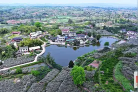 助力乡村振兴 自贡深入开展2025年扶贫脱贫失信问题专项治理行动图片