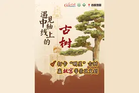 朱棣种树靠神力？康熙封树做将军？北京中轴线上还有这些“明星”古树图片