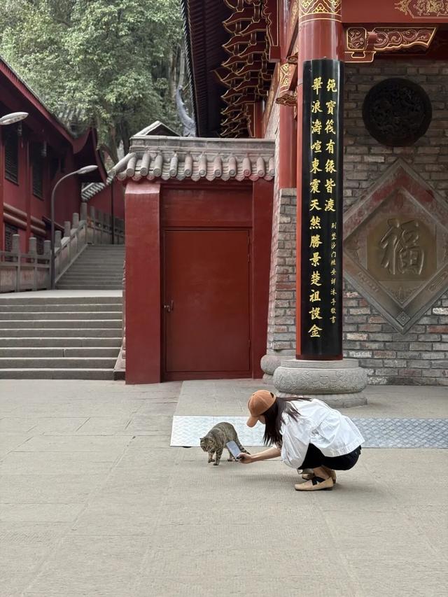 石经寺旁一日游，充电满格