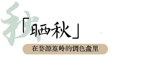 秋日“上”策！“顶级”仪式感做这些就够